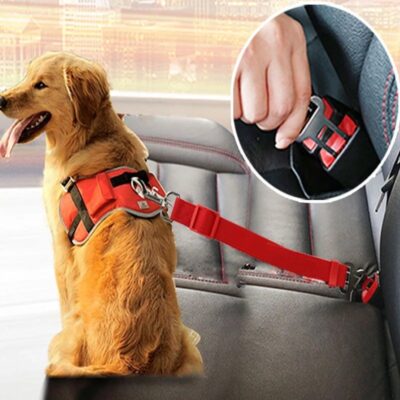 Keep Your Pet Safe with the Seat Belt for Pets 🐶😺