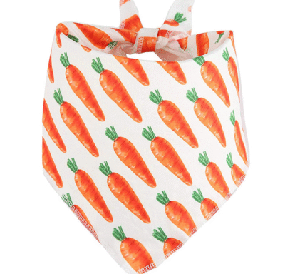 Funny New Easter Pet Party  Kit 🐰 - Image 2